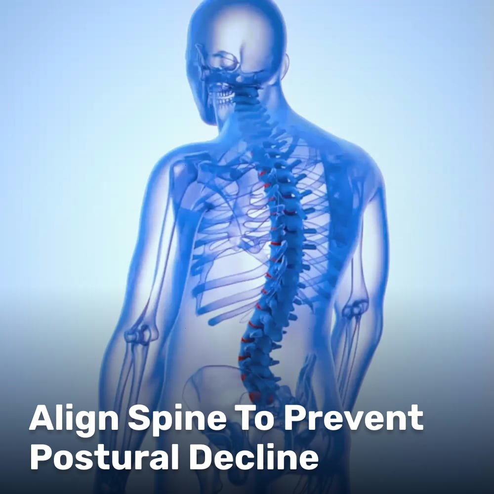 Vortalex Posture Corrector Image